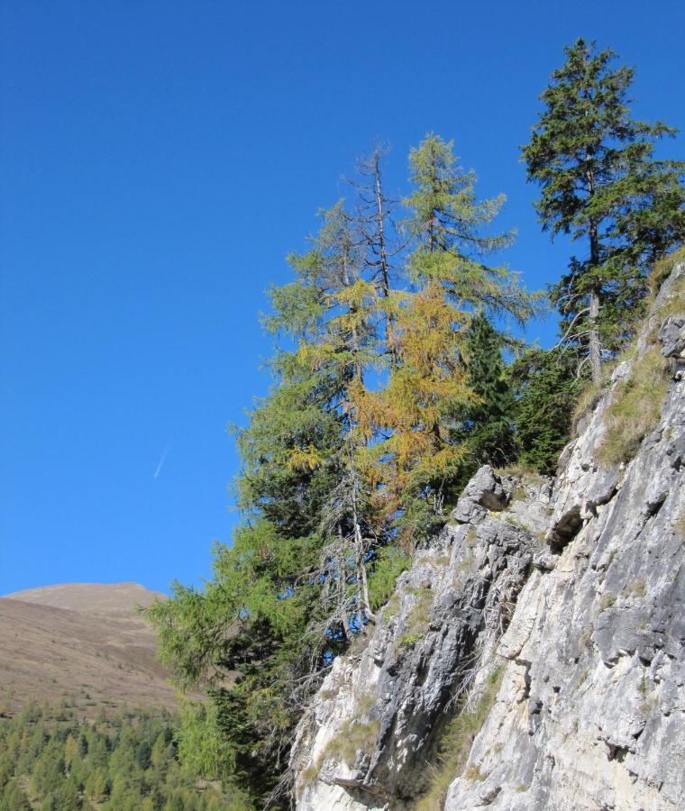 Ferienhaeuser Troester Bad Kleinkirchheim Zewnętrze zdjęcie