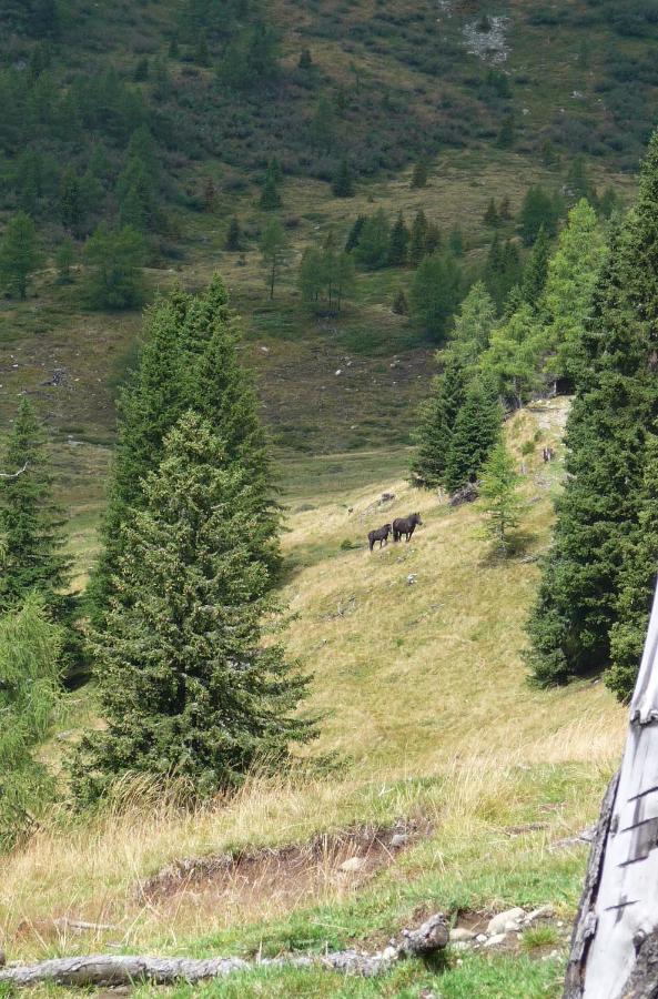 Ferienhaeuser Troester Bad Kleinkirchheim Zewnętrze zdjęcie