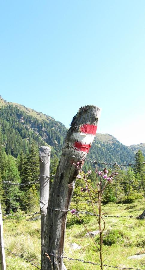Ferienhaeuser Troester Bad Kleinkirchheim Zewnętrze zdjęcie