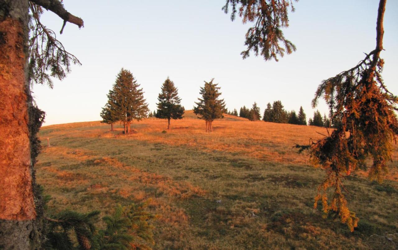 Ferienhaeuser Troester Bad Kleinkirchheim Zewnętrze zdjęcie