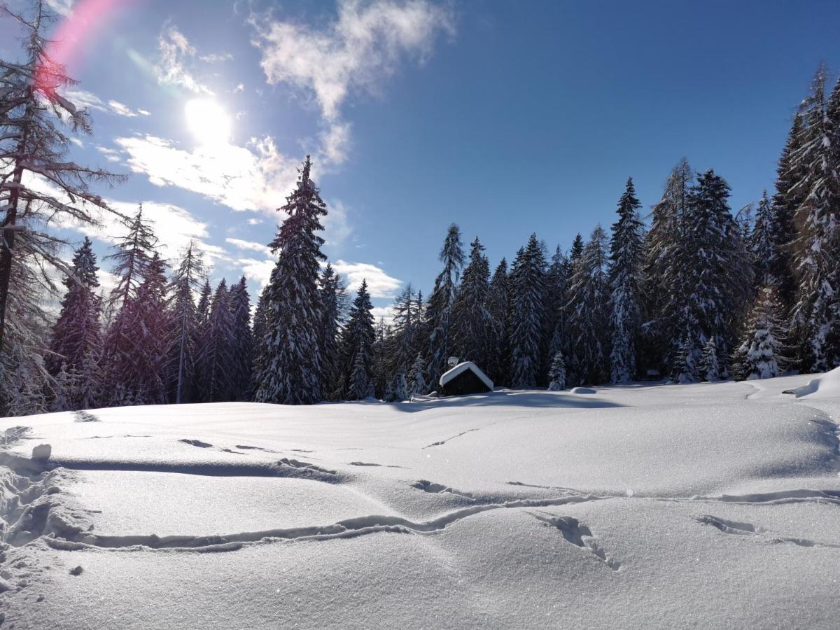 Ferienhaeuser Troester Bad Kleinkirchheim Zewnętrze zdjęcie