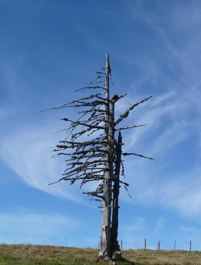 Ferienhaeuser Troester Bad Kleinkirchheim Zewnętrze zdjęcie